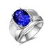 Trendy Men's New Fashion Inlaid Silver Natural Colored Blue Stone Tanzanite Ring_ipsvogv.com