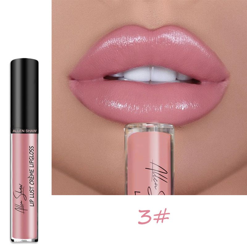 Matte 12 Colors Veet Lipstick Long Lasting Non-stick Cup Lip Gloss Waterproof Nude Pink Red Lip Tint Women_ipsvogv.com