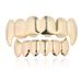 Hot Sale New HIPHOP Gold Braces Vampire Wolf Fangs Festival Dress Hip Hop Braces_ipsvogv.com