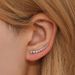 Cao Shi's Niche, Minimalist, Regular, High-end With Sparkling Temperament, Round Diamond Arrangement, Ear Hook Earrings_ipsvogv.com