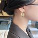 retro Temperament Trendy Internet Celebrity Simple Cold Style Earrings Female Ear Jewelry_ipsvogv.com