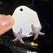 Cao Shi Haixing Female Ocean Cooled Light Wind Internet Celebrity New With Cute Charm Star Earrings_ipsvogv.com