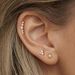 Hot Sales Real Gold Brass Electroplating Simple And Exquisite Small Eight Pointed Star Three Petal Leaf Earrings Three Piece Set_ipsvogv.com