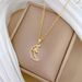 Star 【 】 Moon Light Luxury Charm Gorgeous Full Diamond Necklace Women's Versatile Clavicle Titanium Steel Chain 【 】_ipsvogv.com