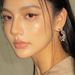 Women's Jewelry Retro Pig Nose Zircon Earrings Light Luxury High End Design Fashion Temperament Circle Earrings Ear Jewelry_ipsvogv.com