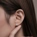 Mosang earrings women's S pure silver six claw zircon Korean versatile diamond inlay jewelry_ipsvogv.com