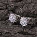 Women's Jewelry Classic Round Large Zircon Hip Hop Earrings 925 Silver Needle Fashion Earrings_ipsvogv.com