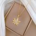 Fashionable 【 】 Sea Star Light Luxury Charm Gorgeous Full Diamond Necklace Women's Versatile Clavicle Chain Titanium 【 】_ipsvogv.com
