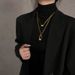 Advanced Sweater Chain 2024 New Trendy Autumn And Winter Jewelry Long Titanium Steel Necklace Decoration_ipsvogv.com