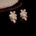 S Silver Needle Exquisite Super Shiny Full Zircon Flower Light Luxury Niche Design Style Socialite Fashion Internet_ipsvogv.com