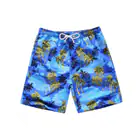 Men's Swimwear_ipsvogv