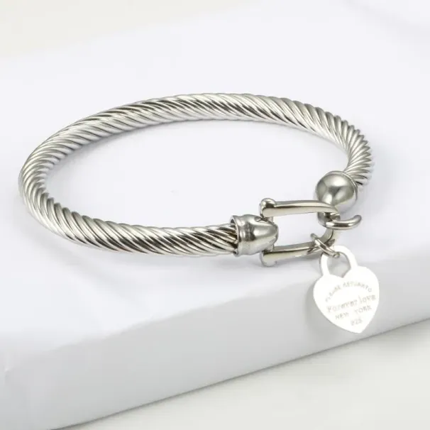 Bracelets Titanium Steel Cable Wire Gold Color Heart Charm Bangle Bracelet With Hook Closure For Women Men Wedding_ipsvogv.com