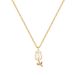Titanium Steel 【 】 White Tulip Light Luxury Temperament Gorgeous Full Diamond Necklace Women's Versatile Collarbone 【 】_ipsvogv.com