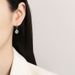 S Silver Diamond Earhook Women's Mosang Stone Classic Round Bag Earrings with Exquisite Quality_ipsvogv.com