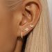 Diamond-Encrusted Petal Stud Earrings - Light Luxury Minimalist Earrings For Women (Elegant Ear Accessories Set)_ipsvogv.com