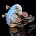 Sanjie Fashion Australia Treasure Black Gold Color Separation Ring Jewelry_ipsvogv.com