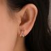 Women’s Jewelry Set Fashion Ear Buckles Fashion Circle Earrings Temperament Gold And Silver Three Dimensional Earrings Earrings_ipsvogv.com
