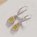 Cao Shifeng's Small Sugar Light Luxury Princess Fashion Rich Noble Ladies, Celebrities, Earrings, and Women_ipsvogv.com