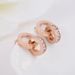 Women's Accessories Diamond Set Simple Temperament Design Sense Trend Earrings Earrings_ipsvogv.com