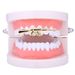 Hip Hop Braces Gold Teeth AK47 Rifle Shape Gold Braces Trend Halloween Hip Hop Cross Border Factory Direct Sales_ipsvogv.com