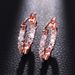 Cao Shi's New Luxury And High Grade Zircon Fine With Earrings, Female Style Copper Plating, Fashion Earrings_ipsvogv.com