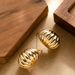 Hot Selling Fashionable Simple Geometric Elliptical Stripe For Women, Niche Personality Design, Silver Needle Earrings_ipsvogv.com