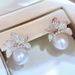 Cao Shi's Exquisite and Fashionable Classic Set Pearl Flower Earrings Jewelry Accessories_ipsvogv.com