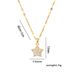 Chinese Style Exquisite And High-end Five Pointed Star Titanium Steel Necklace, Women's Micro Inlaid Zircon Collarbone_ipsvogv.com