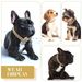 Hip Hop Pet Collar Cuban Dog Chain Full Diamond Necklace Buckle Gold Silver_ipsvogv.com