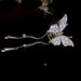 Designer style diamond inlaid butterfly wind chime tassel grab clip fashion versatile shark clip temperament hair clip accessories_ipsvogv.com