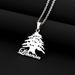 hot sale titanium steel Lebanese national emblem map Taliban pendant necklace fashion smooth titanium steel couple necklace_ipsvogv.com