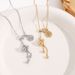 Titanium Steel Colorless Chinese Style Lucky Gourd Necklace ins Light Luxury and Advanced Design Joyful Collar Chain_ipsvogv.com