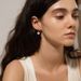 Women’s Jewelry Set Fashion New Ocean Fan Shaped White Shell Earrings For Women Fashionable And Versatile Stainless SteelGold Plated Earrings_ipsvogv.com