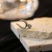 Fashionable temperament three rings inlaid with round ball bone clip, versatile zircon without hole ear clip for women_ipsvogv.com
