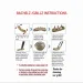 YOUNGX Top Bottom Maple Leaves Pattern Tooth Caps Braces Hip Hop Glossy Teeth Grillz For Women Men Jewelry Dental_ipsvogv.com