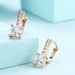 Women's Jewelry Fashion Zircon Earrings K Gold Zircon Accessories_ipsvogv.com