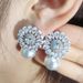 Baroque New Exquisite Flowers, Zircon Pearl Earrings, Sweet Bride, Engagement Dinner, High Grade Female e6479_ipsvogv.com
