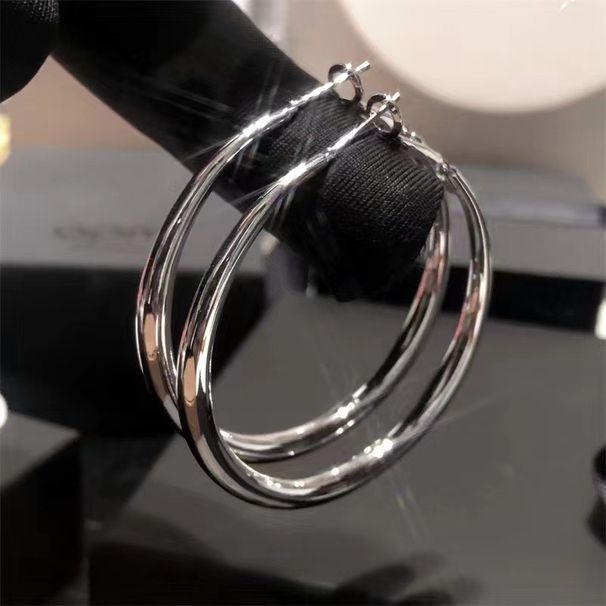 Large Circle Earrings For Women, New Style, Light Luxury, Niche Design, Simple And Versatile, Personalized, High End Earrings_ipsvogv.com