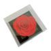 Women’s Jewelry Set Fashion flower gift box hot selling packaging box wholesale finished product acrylic box gift jewelry box storage box_ipsvogv.com