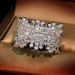 Irregular micro-inlaid with zircon ring European and American luxury women's jewelry ring_ipsvogv.com