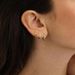Women’s Jewelry Set Fashion Brass With Real Gold Plating Hot Selling Simple And Elegant Zircon Inlaid Circle Earrings For Ladies Three Piece Set_ipsvogv.com