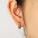 Light Luxury Fashion All Match Micro Inlaid Zircon Earrings For Women Niche Cold Style Creative Design Ear Buckles_ipsvogv.com
