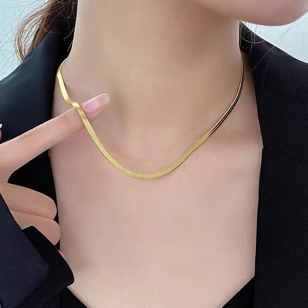 S Pure Silver Flat Snake Bone Instagram Cool Wind Blade Fashion Necklace Women's Choker Collar Chain Item Jewelry_ipsvogv.com