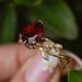 New Women's Gold Plated Inlaid Irregular Red Zircon Ring Flower Jewelry_ipsvogv.com