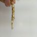 Fashion Luxury Punk Lion Head Snake Bone Bracelet for Women Men Bangle Bracelet Classic Trendy Brand Jewelry_ipsvogv.com