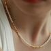 Broken Silver, Shijia Pearl Necklace, Women's Versatile, Light Luxury, High-end Feeling, Collarbone Chain, Spring And_ipsvogv.com