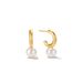 C-Shaped Pearl Earrings - Minimalist Plated Studs (Hypoallergenic Lightweight)_ipsvogv.com