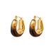Women's Jewelry Maillard Style Zhang Resin Earrings Light Luxury Niche Design High End Versatile Earrings_ipsvogv.com