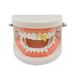 Hip Hop Gold-plated With Two Sharp Teeth, Hollowed Out Braces Props, Halloween Decorations_ipsvogv.com
