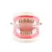 Hip Hop Braces, Colored Micro Inlaid Zircon Braces, Pomegranate Red Zircon Gold Braces, Hip Hop Braces, Men's Jewelry_ipsvogv.com